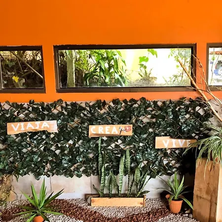 Cabana Vista Verde Cartago Exterior photo